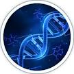 bio 